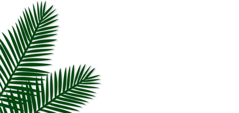 Symbole chrześcijańskie – Palma zwycięstwa