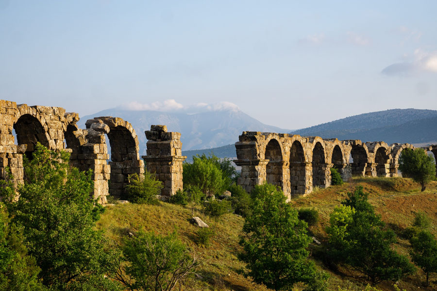 Antioschia_pizydyjska