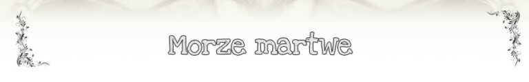 Morze Martwe