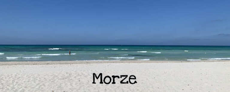 Morze