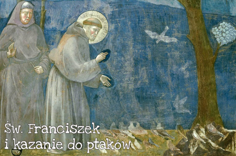 Kazanie do ptaków – wystawa we Wrocławiu